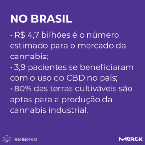 cultivo de cannabis no Brasil
