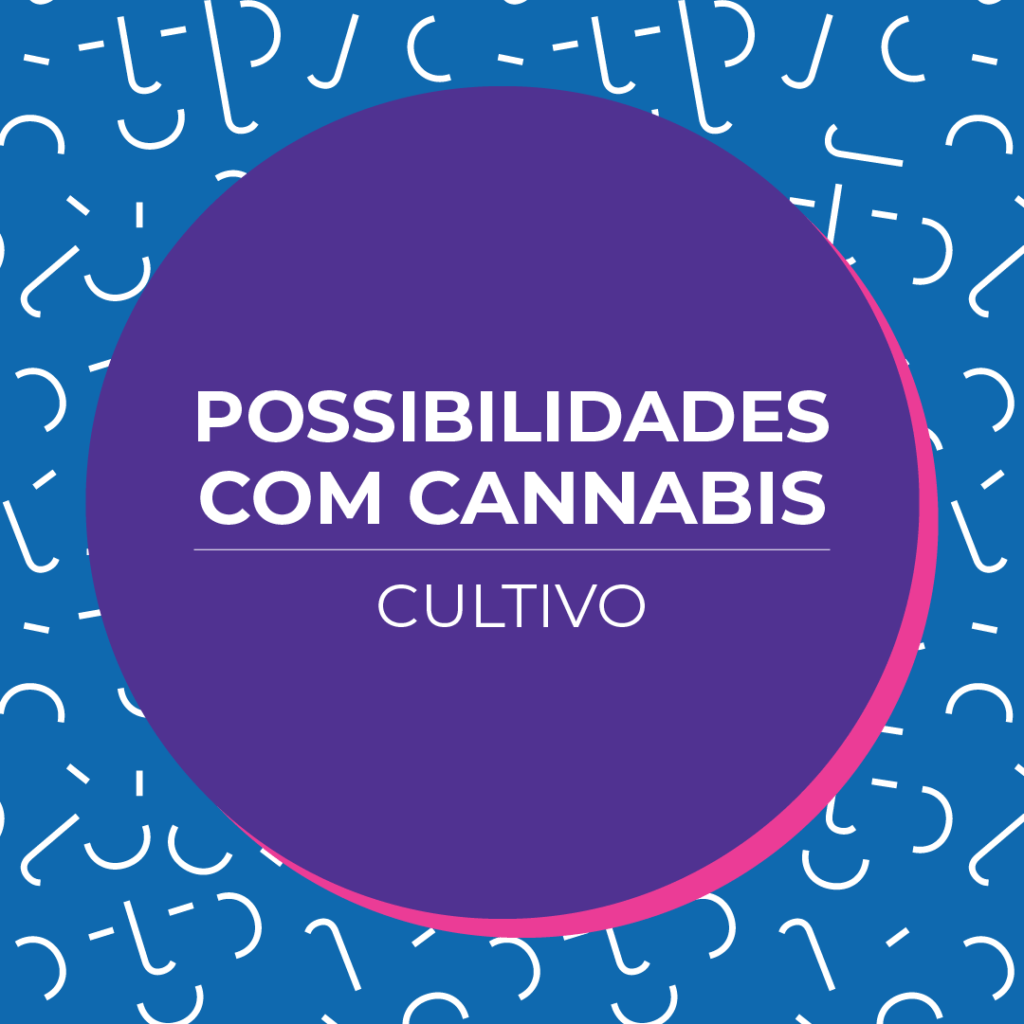 cultivo de cannabis