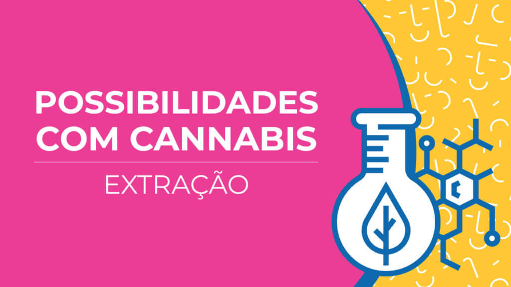 extração da cannabis