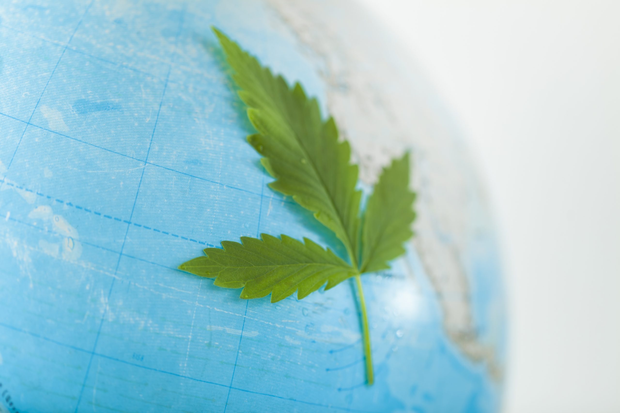 Cannabis Medicinal no mundo: quatro países promissores